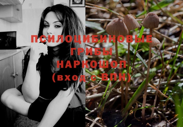 амф Белокуриха