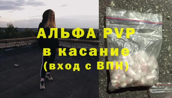 амф Белокуриха