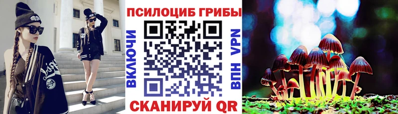 дарнет шоп  shop клад  Галлюциногенные грибы мицелий  Красный Сулин 
